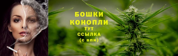 прущие грибы Няндома