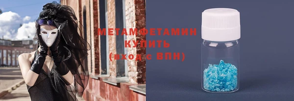 прущие грибы Няндома