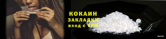 прущие грибы Няндома