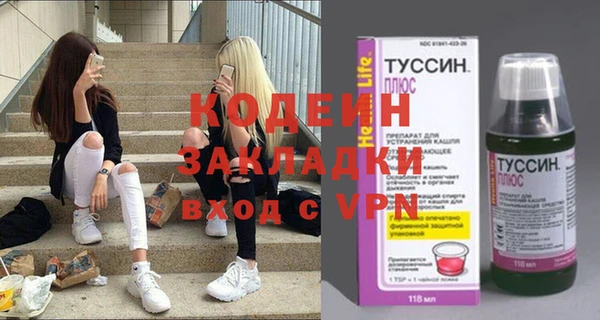 прущие грибы Няндома