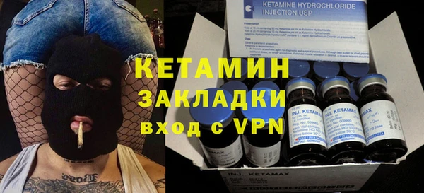 прущие грибы Няндома