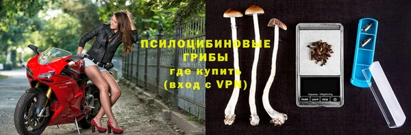 альфа пвп Нязепетровск