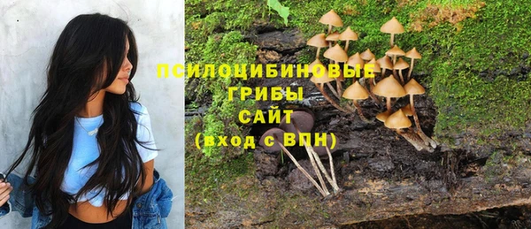 прущие грибы Няндома