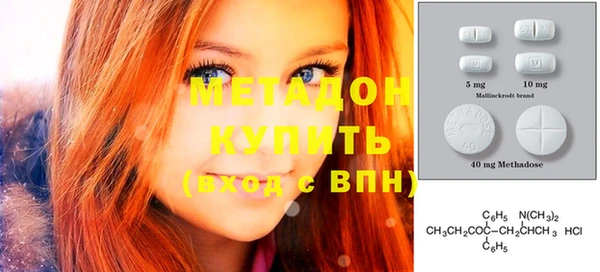 прущие грибы Няндома