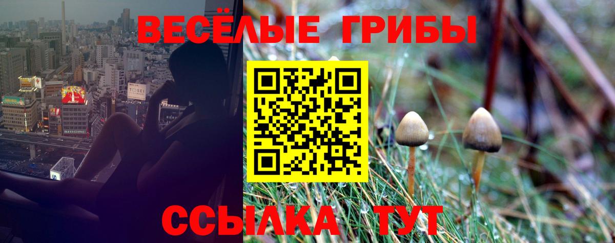 Псилоцибиновые грибы прущие грибы Киржач